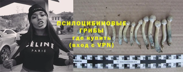 метадон Алексин